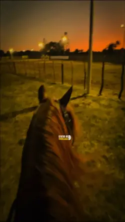Não esqueçam🎶🍯