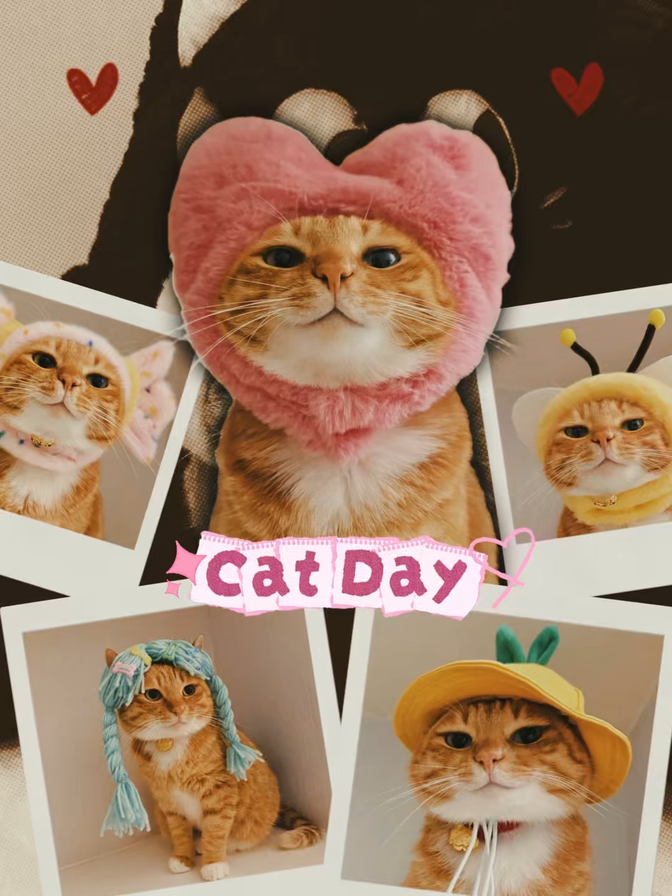 Hari Kucing Nasional 🐾🐱