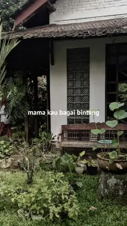 Mama Kaulah Bintang 