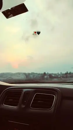 manzara story