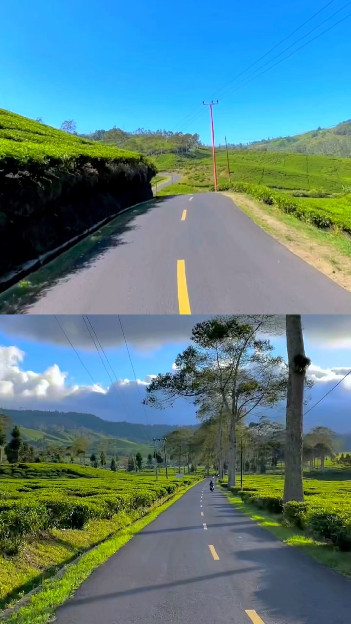 2 vidéo 1 image
