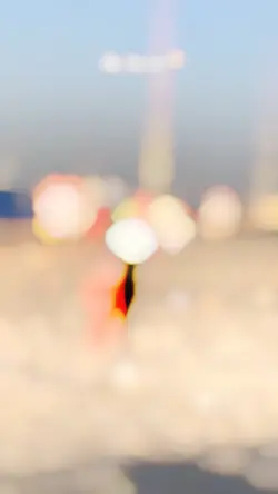 Pawan Singh Bhojpuri