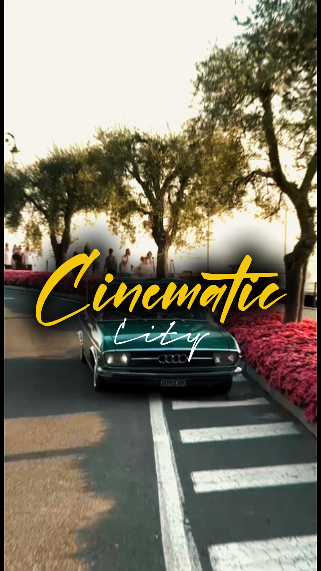 8 Clips Cinématique