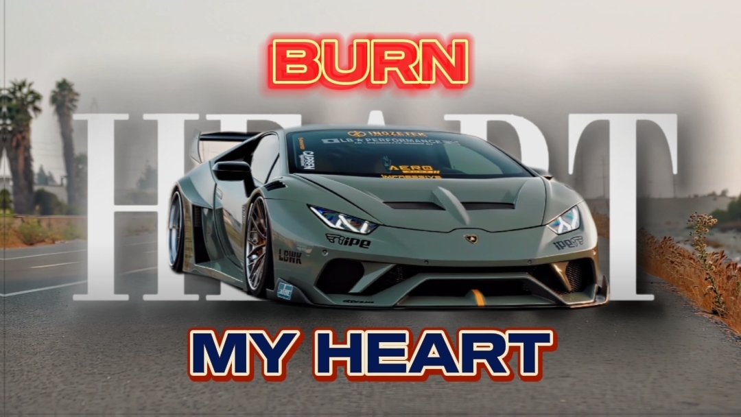 Cover Picture