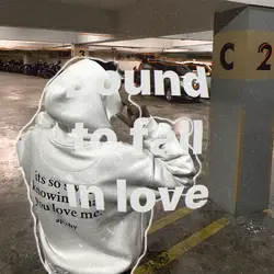 bound to fal in love