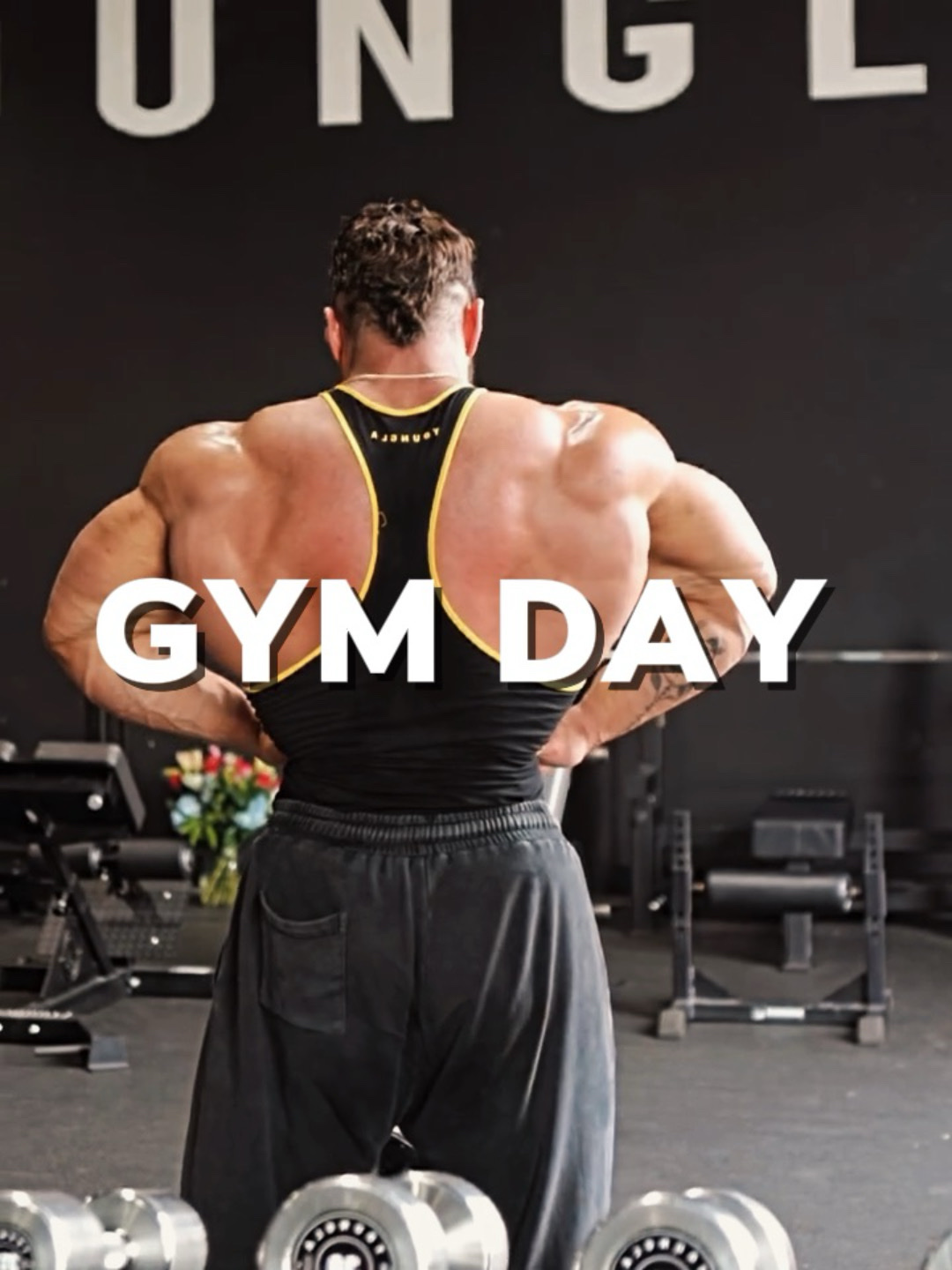 Gym | 5 clip video