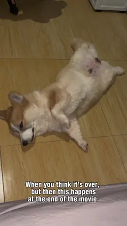 Movie ending be like