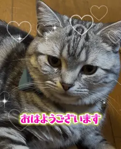 おはようございます