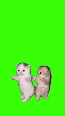 Gatitos Bailando 