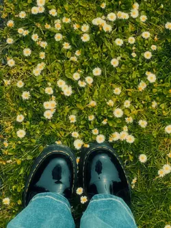 foto kaki