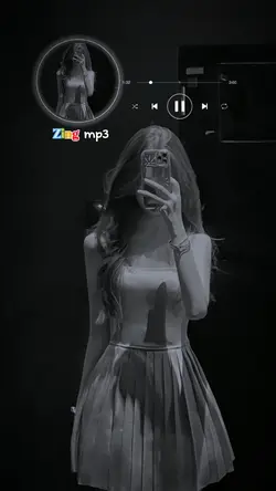 0411zingmp3