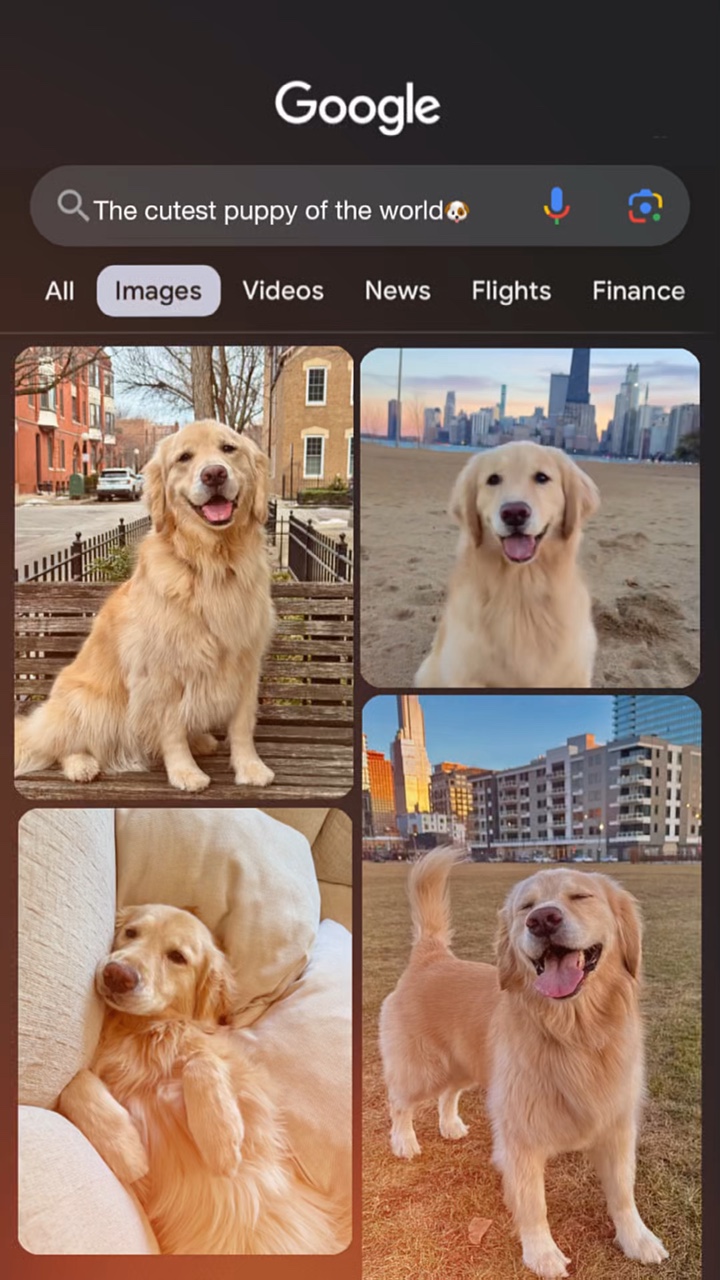 El Cachorro Más Lindo -Google