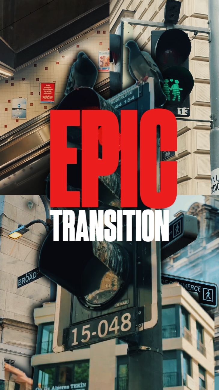 EPIC TRANSITION 