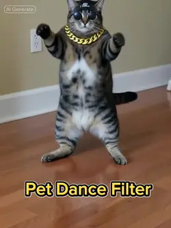 Pet Dance Filter