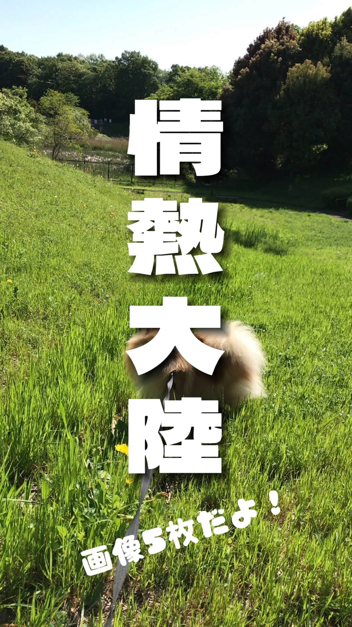 情熱大陸 ～推し様や好きなことに～