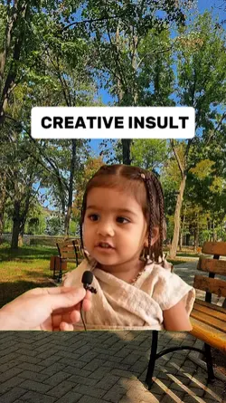 CREATIVE INSULT