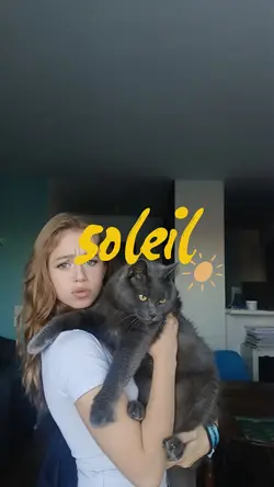 soleil 