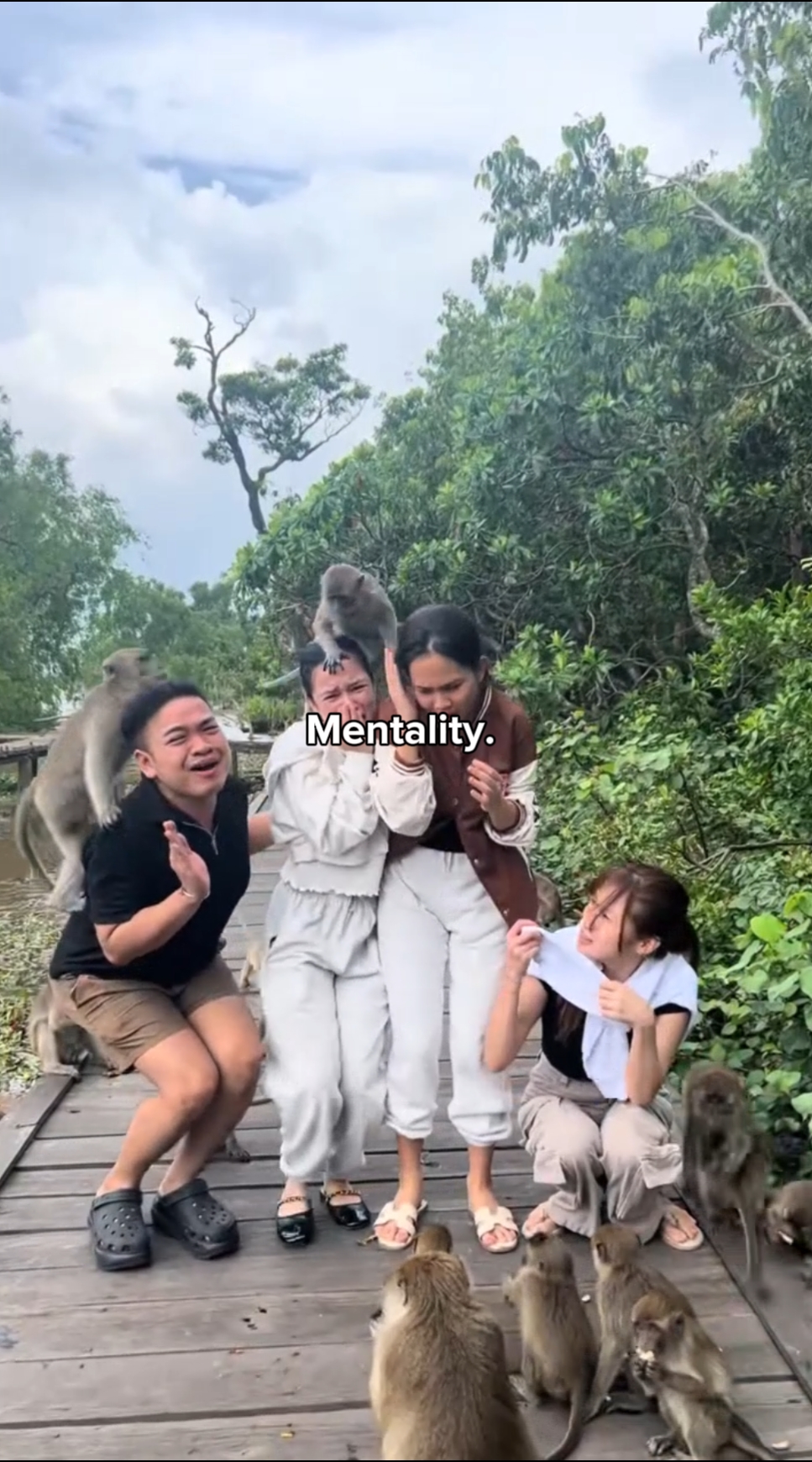 mentality core 5 vid