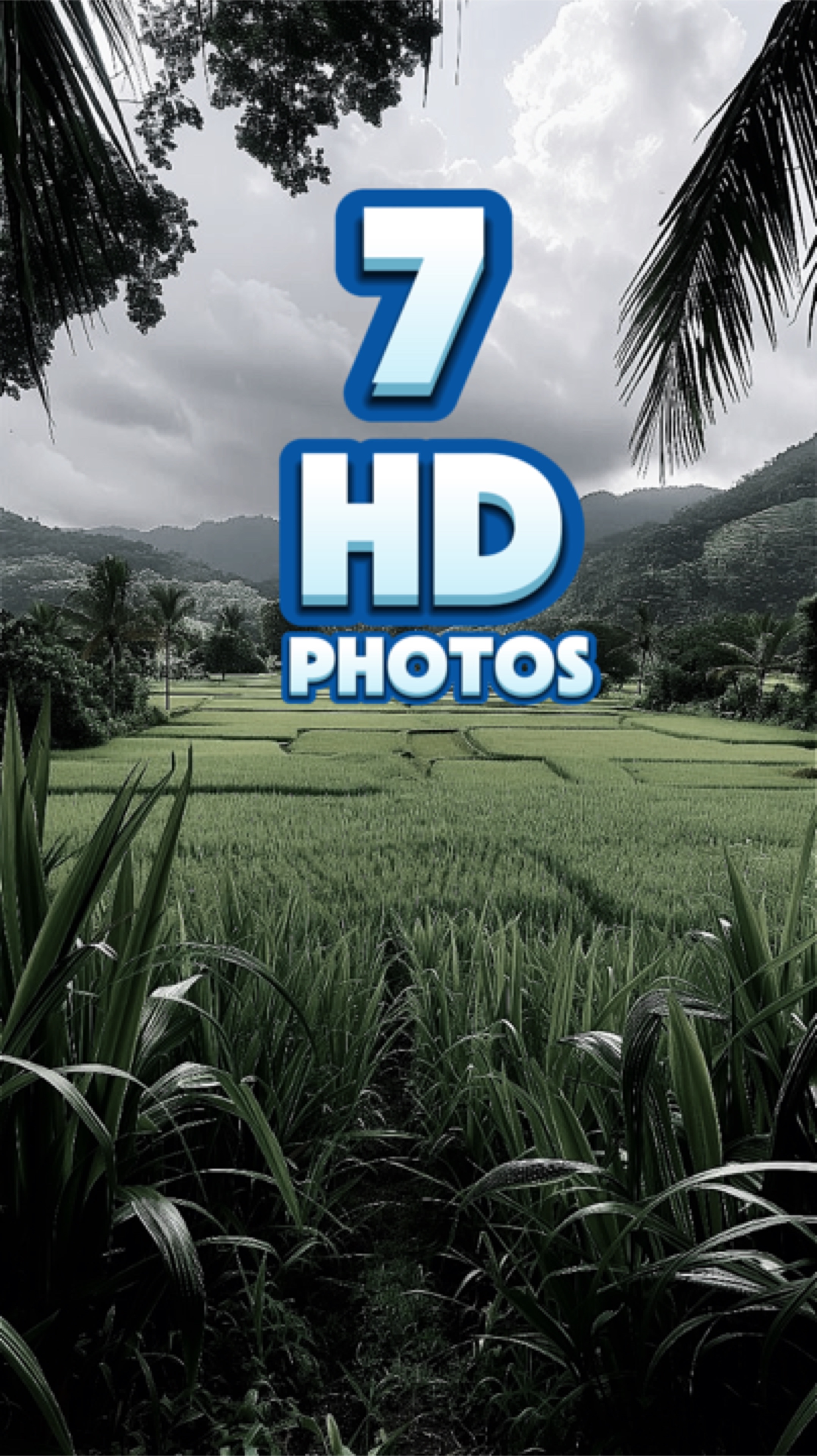 7 fotos em hd 