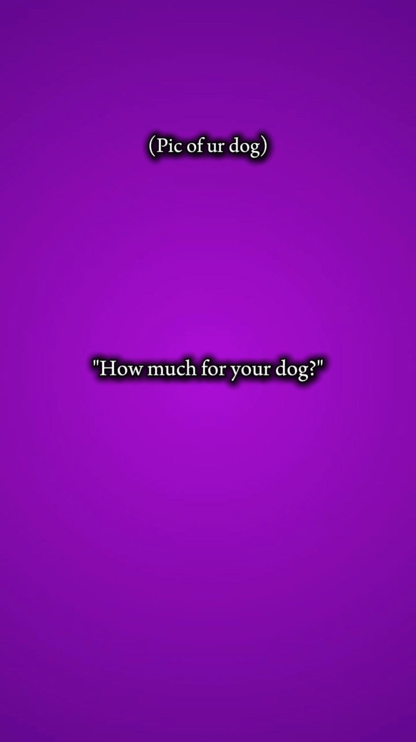 dog