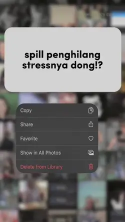 Spill penghilang