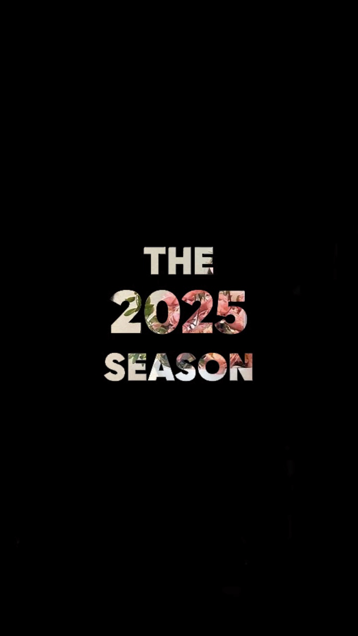 A Temporada 2025
