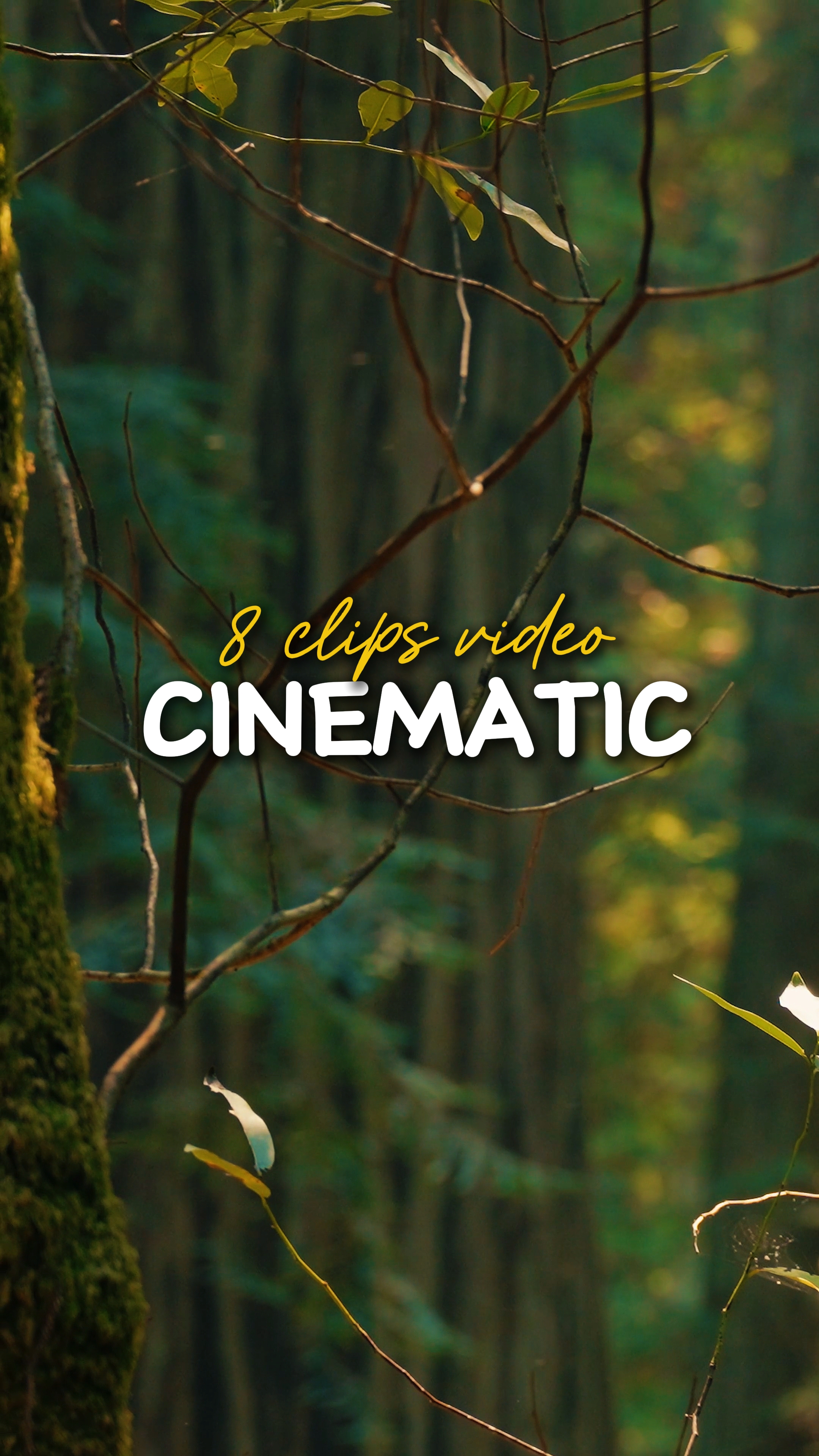 8 Video Cinematic 