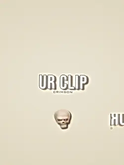 Skull x Glitch 3:4