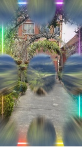Frame