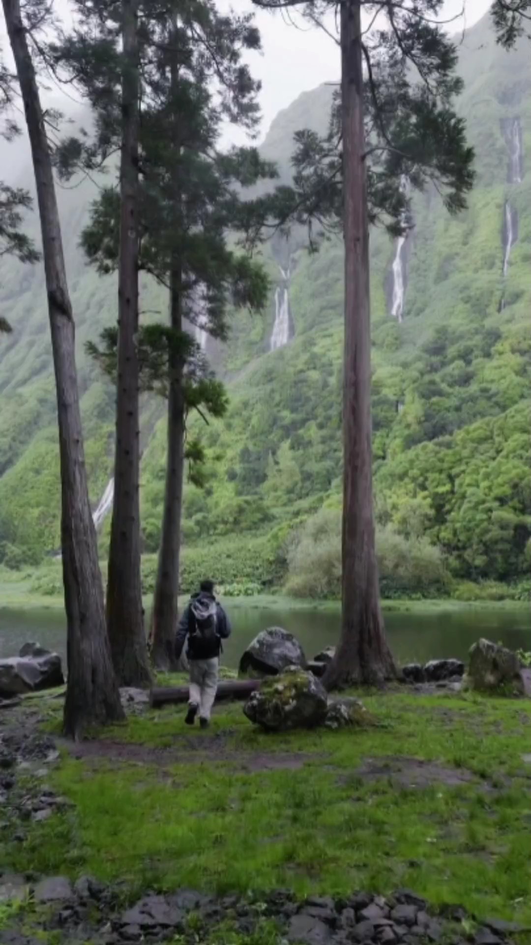 5 video or photo