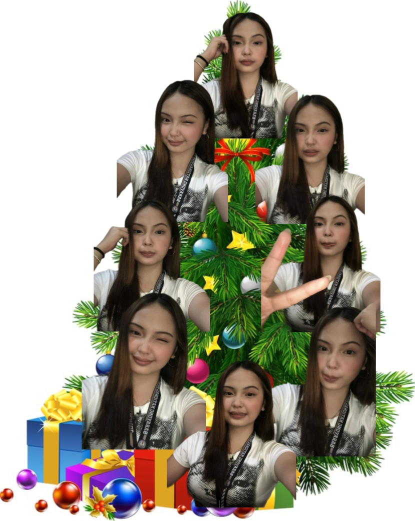 Alles, was ich mir zu Weihnachten wünsche