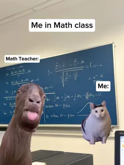 Me in Math class 