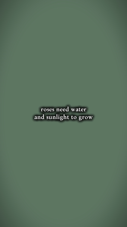 Rose a besoin d'eau et de soleil