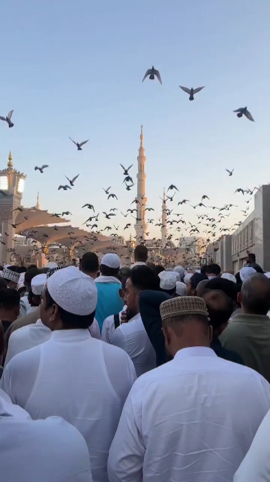 vlogaestheticIslamic