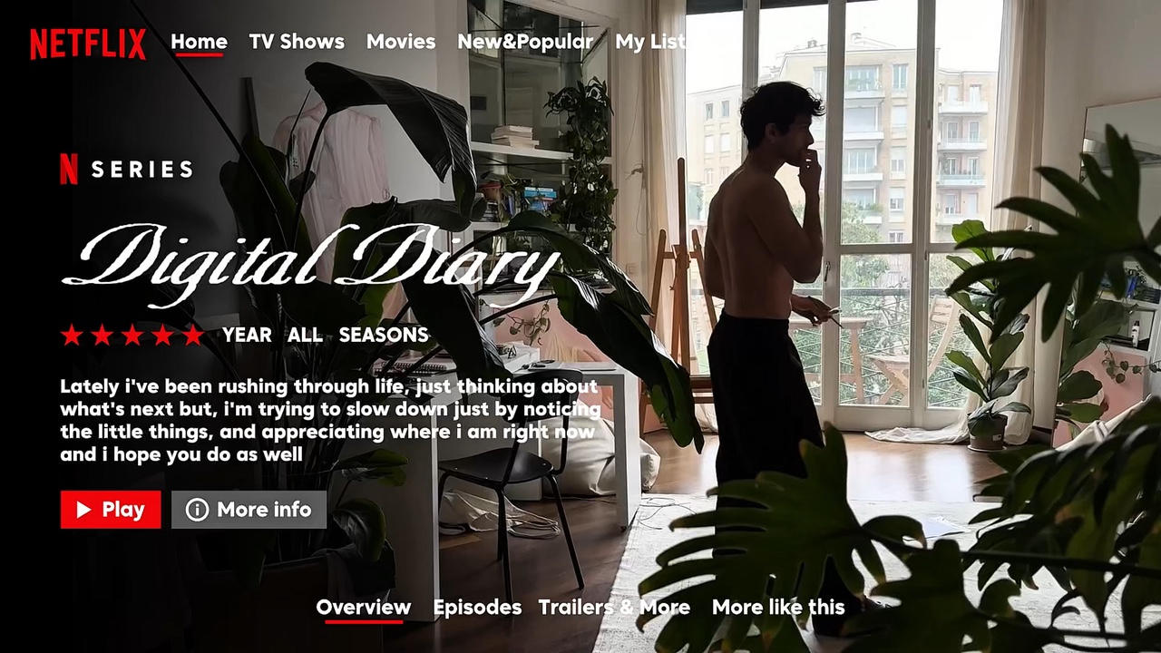 Netflix, Vlog, Tagebuch