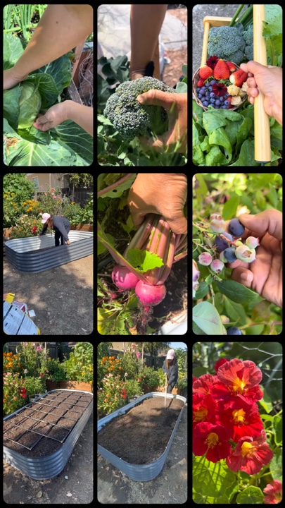Jardinagem
