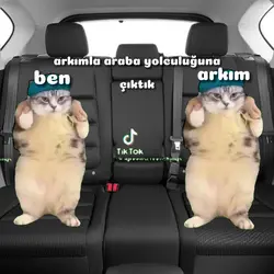 yüzümü gösteriyorum