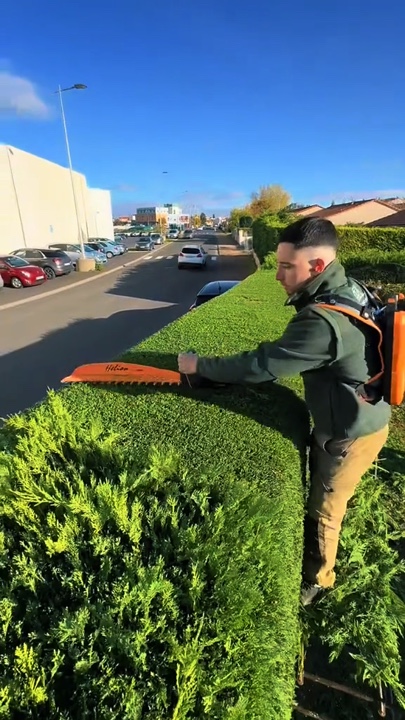 Jardinería