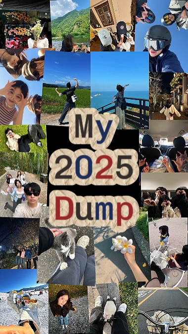 My 2025 Dump