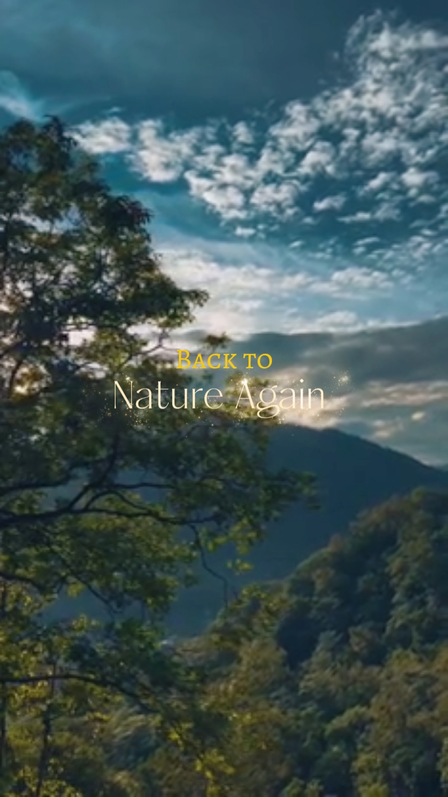 Back to nature 