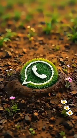 Whatsapp Intro