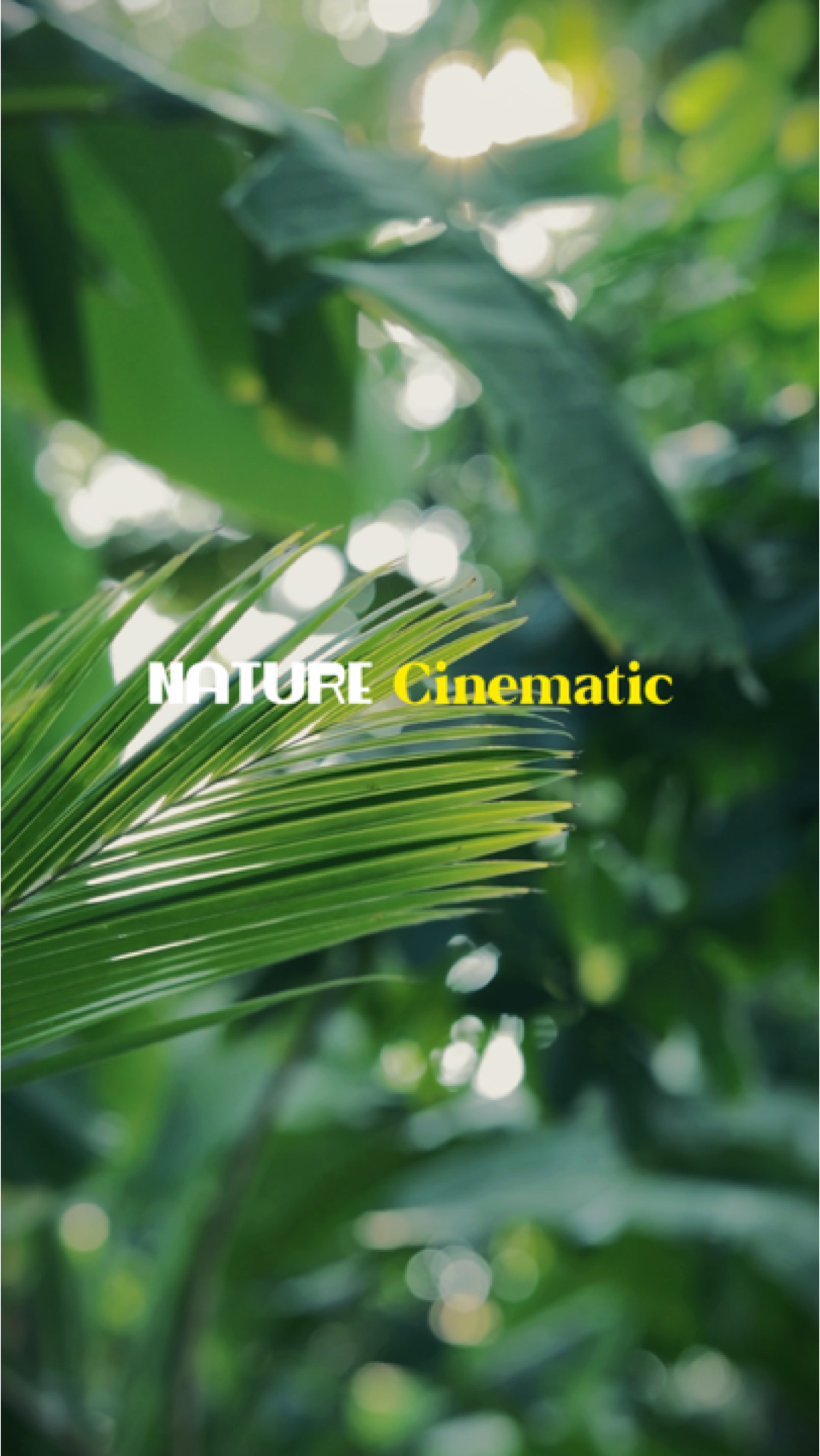 Cinematic 8 klip Nat