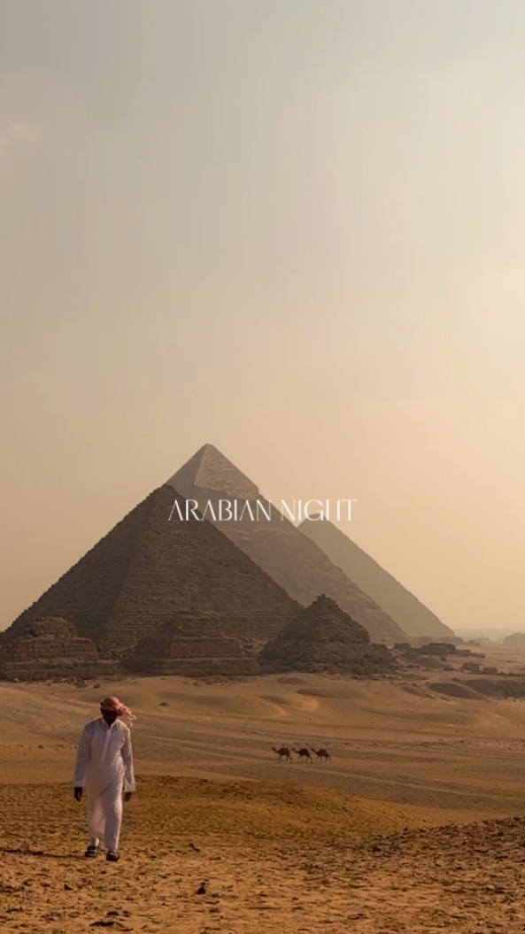 ARABIAN NIGHT
