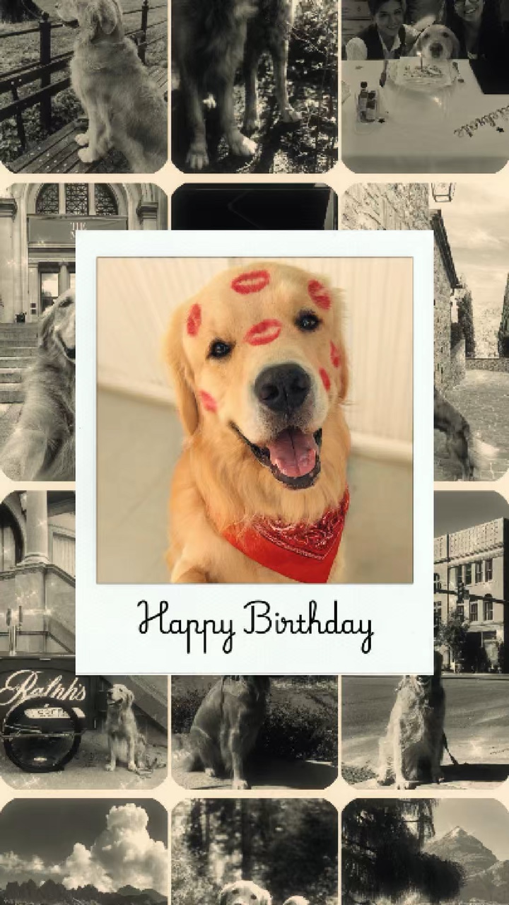 Alles Gute zum Geburtstag Hund