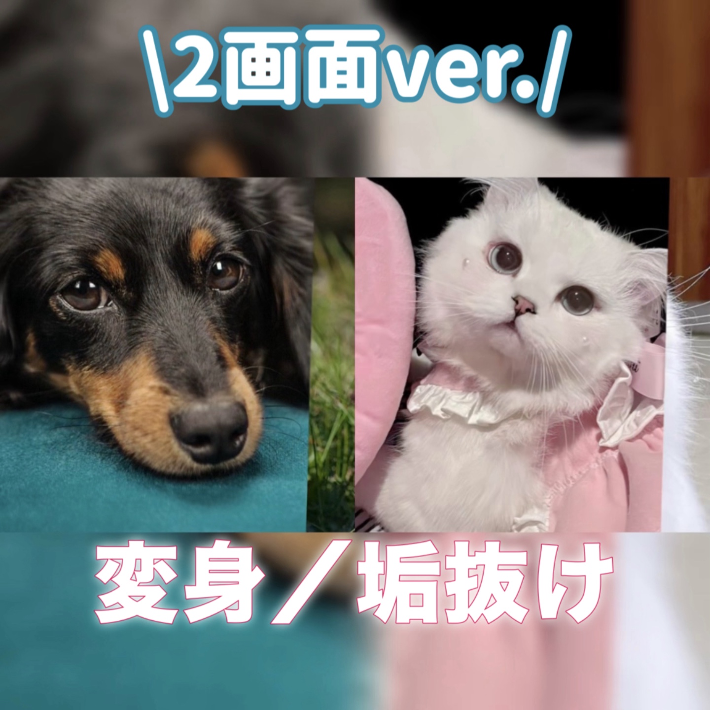 変身／垢抜け ✨4画面ver.