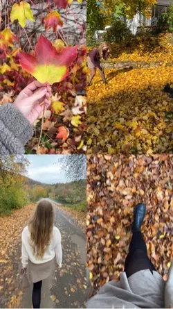Herbst Mood 🍂🤎🫶🏼