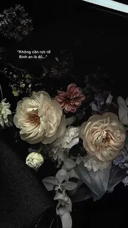 Caption + màu
