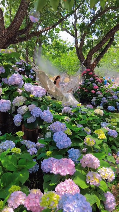 Flowers | Moment