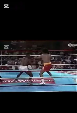 マイクタイソン
ノックアウトシーン