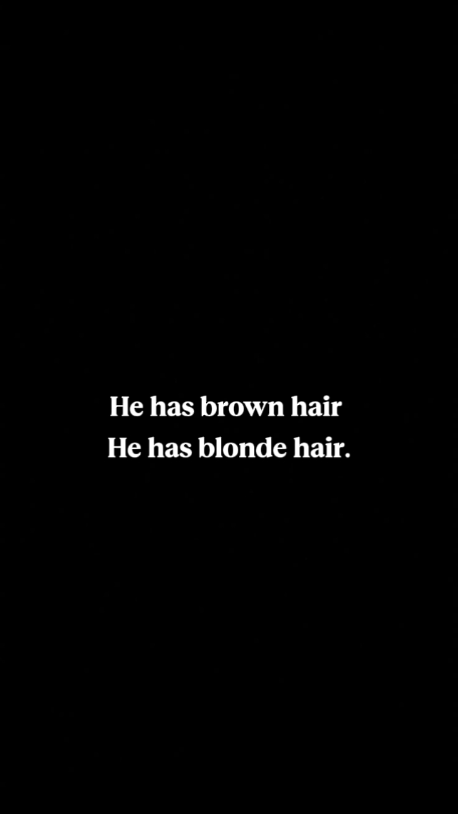 il a les cheveux bruns 